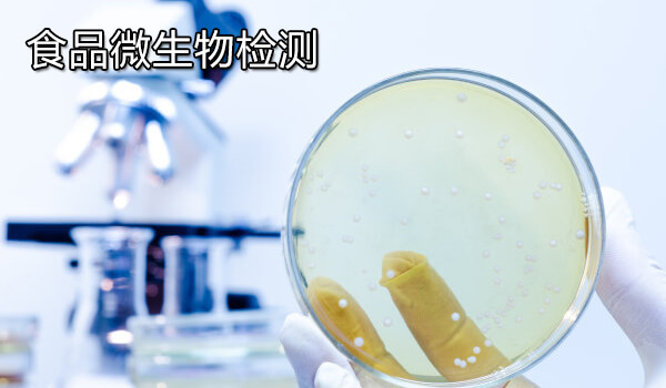 食品微生物检测