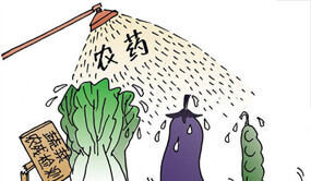 食品农药残留检测