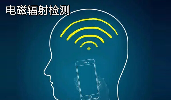 电磁辐射检测